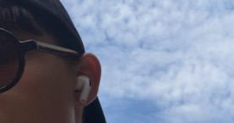 max pet sitter à LE MONTET 03240_0