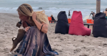 mailen pet sitter à BIARRITZ 64200_7