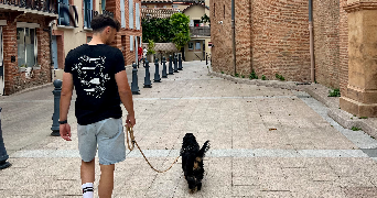 romain pet sitter à TOULOUSE 31300_2