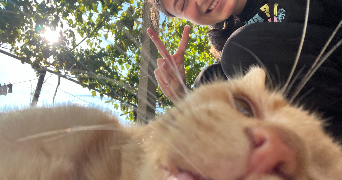 ismigyul pet sitter à SEVRAN 93270_1