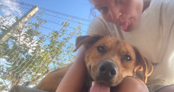 romane pet sitter à LYON 04 69004_1