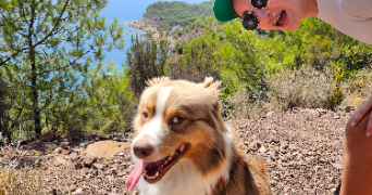 stéphanie pet sitter à LA GARDE 83130_6