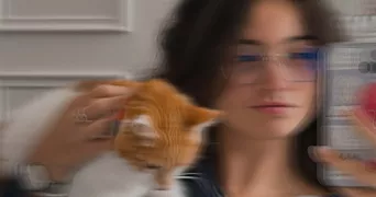 maïwenn pet sitter à STRASBOURG 67000
