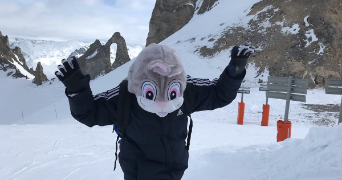 mégane pet sitter à LA FERTE ST CYR 41220_4