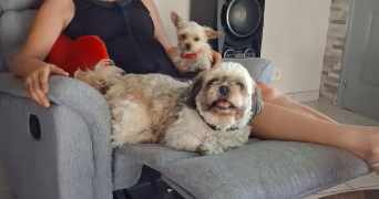 christine  pet sitter à POUZAY 37800_21