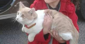 zohor pet sitter à COURBEVOIE 92400_3