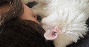 Mathilde pet sitter à LYON 07 69007_5