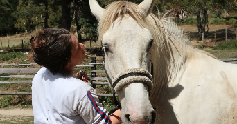 aude pet sitter à ST ETIENNE DU VALDONNEZ 48000_0
