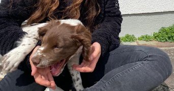 mila pet sitter à BREST 29200_7