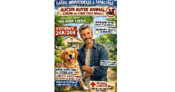 huan dog sitter à FARAMANS 01800_14