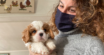 melanie dog sitter à RUEIL MALMAISON 92500_0