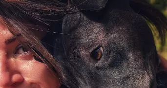 sarah pet sitter à ST MARTIN EN HAUT 69850