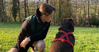 axel dog sitter à LYON 02 69002_0
