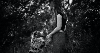 maélyne pet sitter à VARENNES JARCY 91480_0