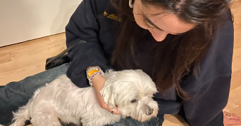 eli pet sitter à MAISONS LAFFITTE 78600_7