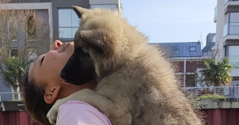 césaria pet sitter à DINARD 35800_3