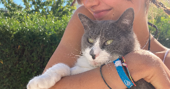 mathilda pet sitter à BLAGNAC 31700_5