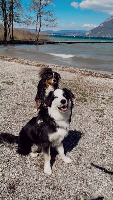 Lea pet sitter à Annecy 74940_1
