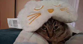 julia pet sitter à Niort 79000