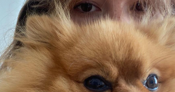 lada pet sitter à PARIS 19 75019_2