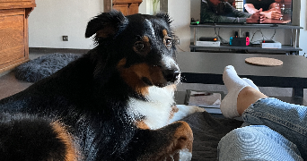 elodie pet sitter à LE MEE SUR SEINE 77350_3