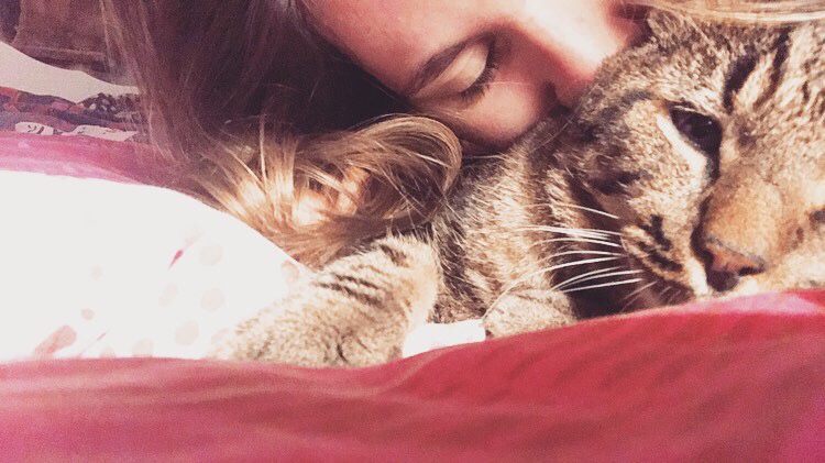 Séréna pet sitter à Trelevern  22660_0