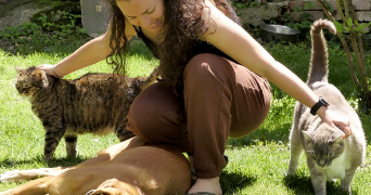 chloé pet sitter à MONTRABE 31850_3