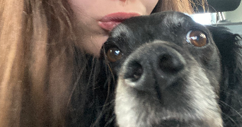 lisa pet sitter à Bourg la reine 92340_8