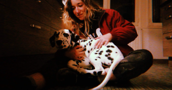 manon pet sitter à NANCY 54000_12