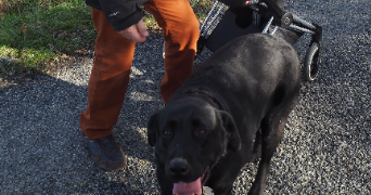 jean-pierre pet sitter à RIANS 83560_7