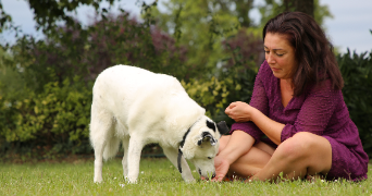 amélie pet sitter à BAUGE EN ANJOU 49150_0