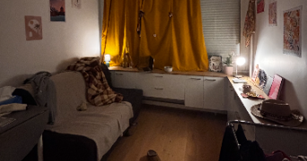 suzanne cat sitter à PARIS 19 75019_1