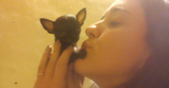 cintia pet sitter à ST JORIOZ 74410_0