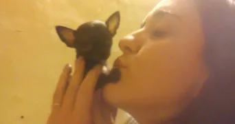 cintia pet sitter à ST JORIOZ 74410