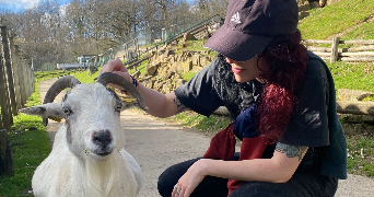 anaïs pet sitter à LIMOGES 87000_2