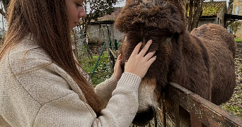clara pet sitter à AMIENS 80000_3