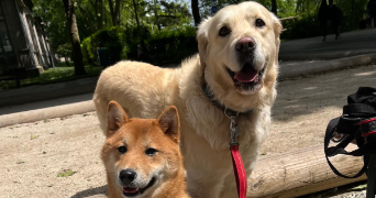 marie pet sitter à NOISY LE GRAND 93160_7