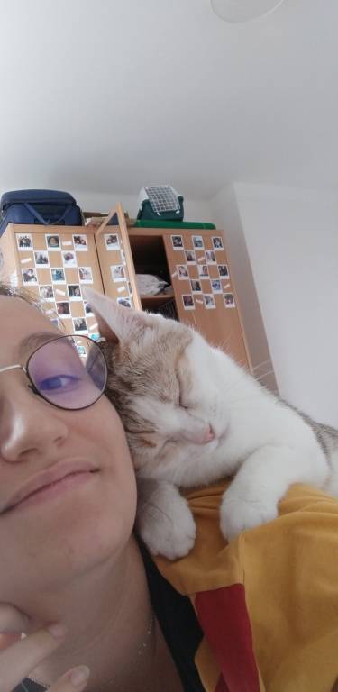 eléa pet sitter à Lyon 69003_9