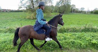 anna pet sitter à ARRAS 62000_2