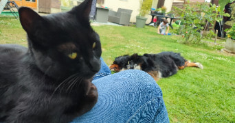 laura pet sitter à BOURSONNE 60141_1