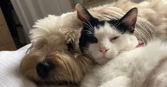 emma  pet sitter à NANTES 44000