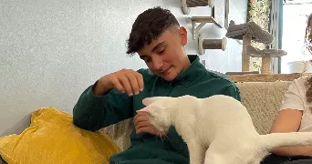 mathis pet sitter à SALIGNAC SUR CHARENTE 17800