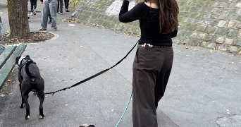 justine pet sitter à PARIS 18 75018_9