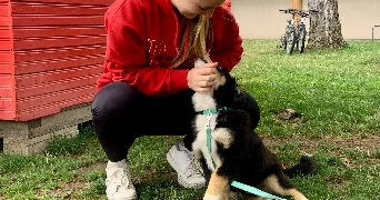 candy pet sitter à BESANCON 25000