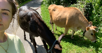 marie pet sitter à CHATEAUNEUF DE GALAURE 26330_6