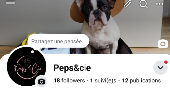 april pet sitter à ISTRES 13800_7