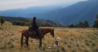 clémence pet sitter à BAS EN BASSET 43210_1