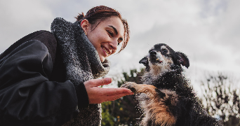 elianor pet sitter à PARIS 10 75010_0