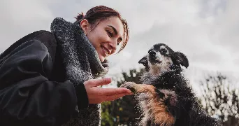 elianor pet sitter à PARIS 10 75010