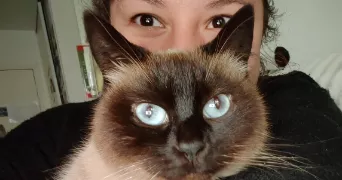 julie cat sitter à LABENNE 40530